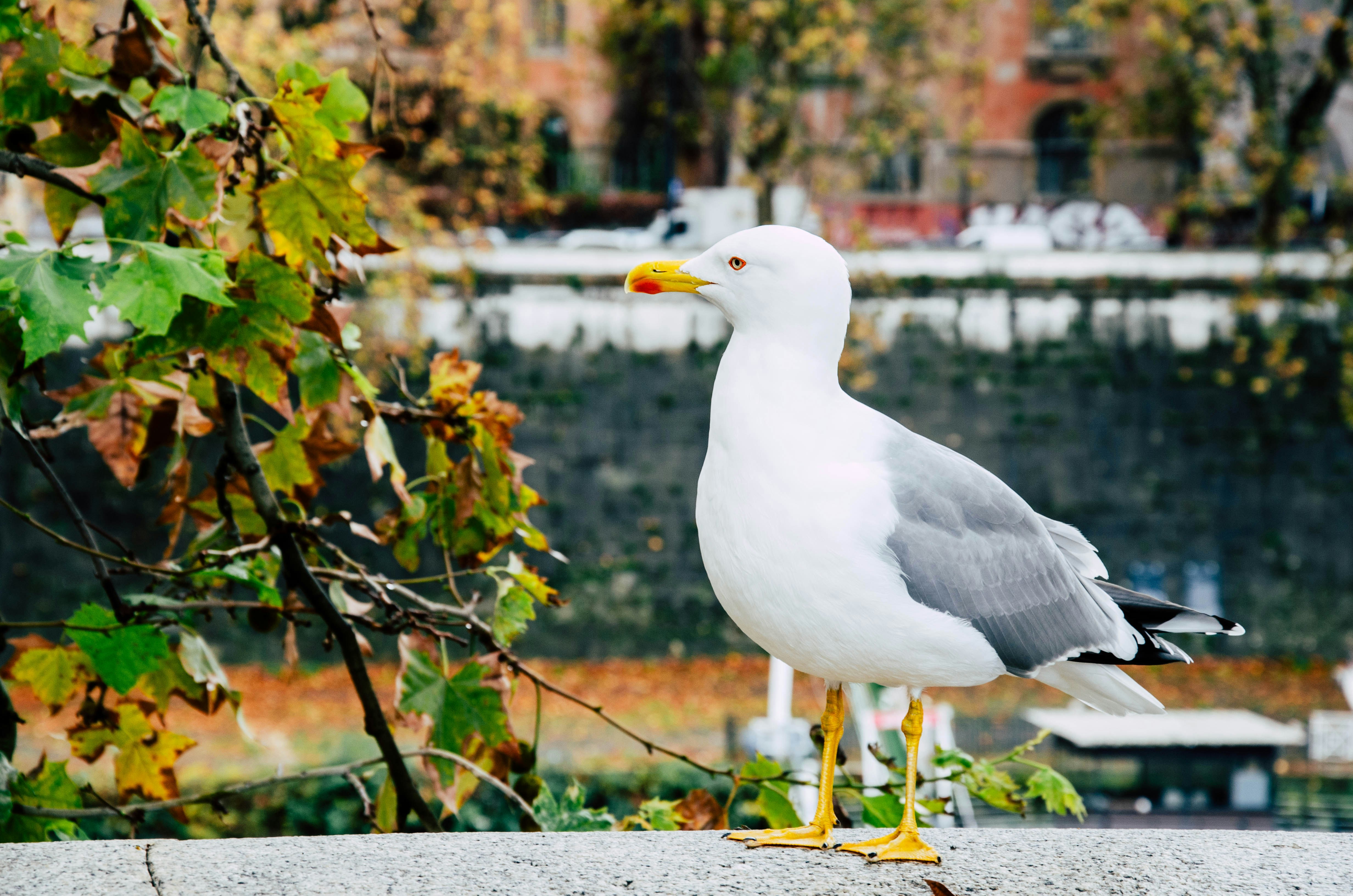 Photo by nika_benedictova