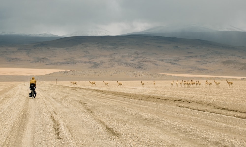 a person riding a bike down a dirt road