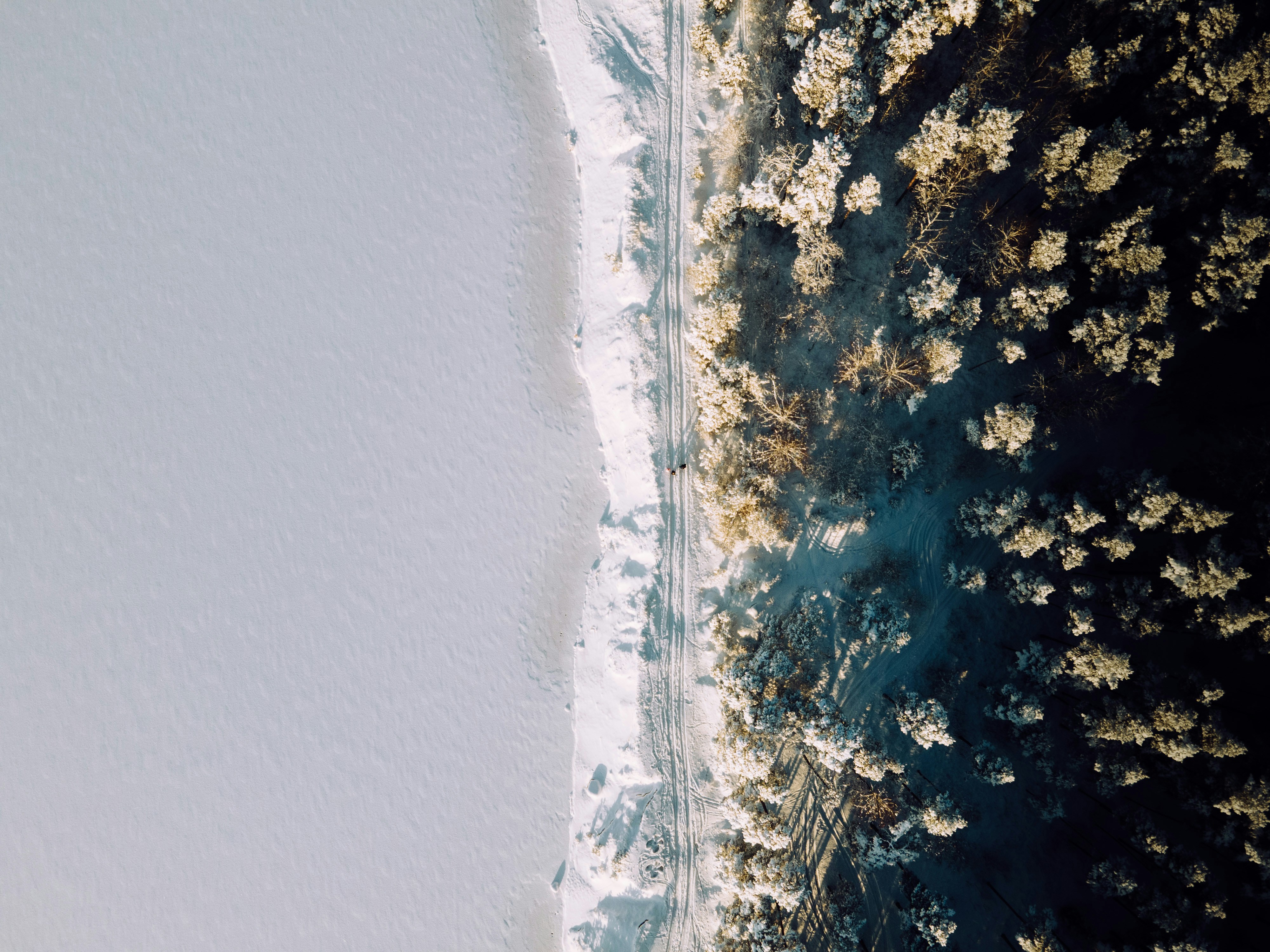 Photo by janekvaldsalu
