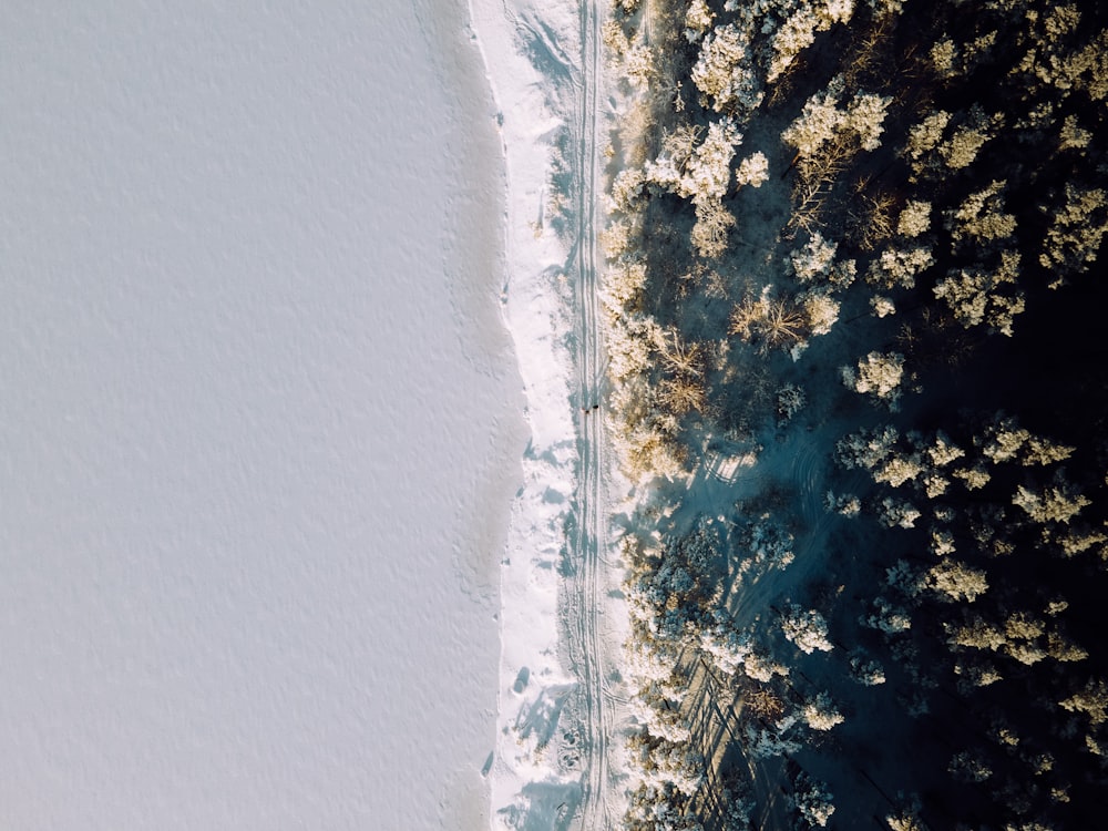 an aerial view of a snow covered forest