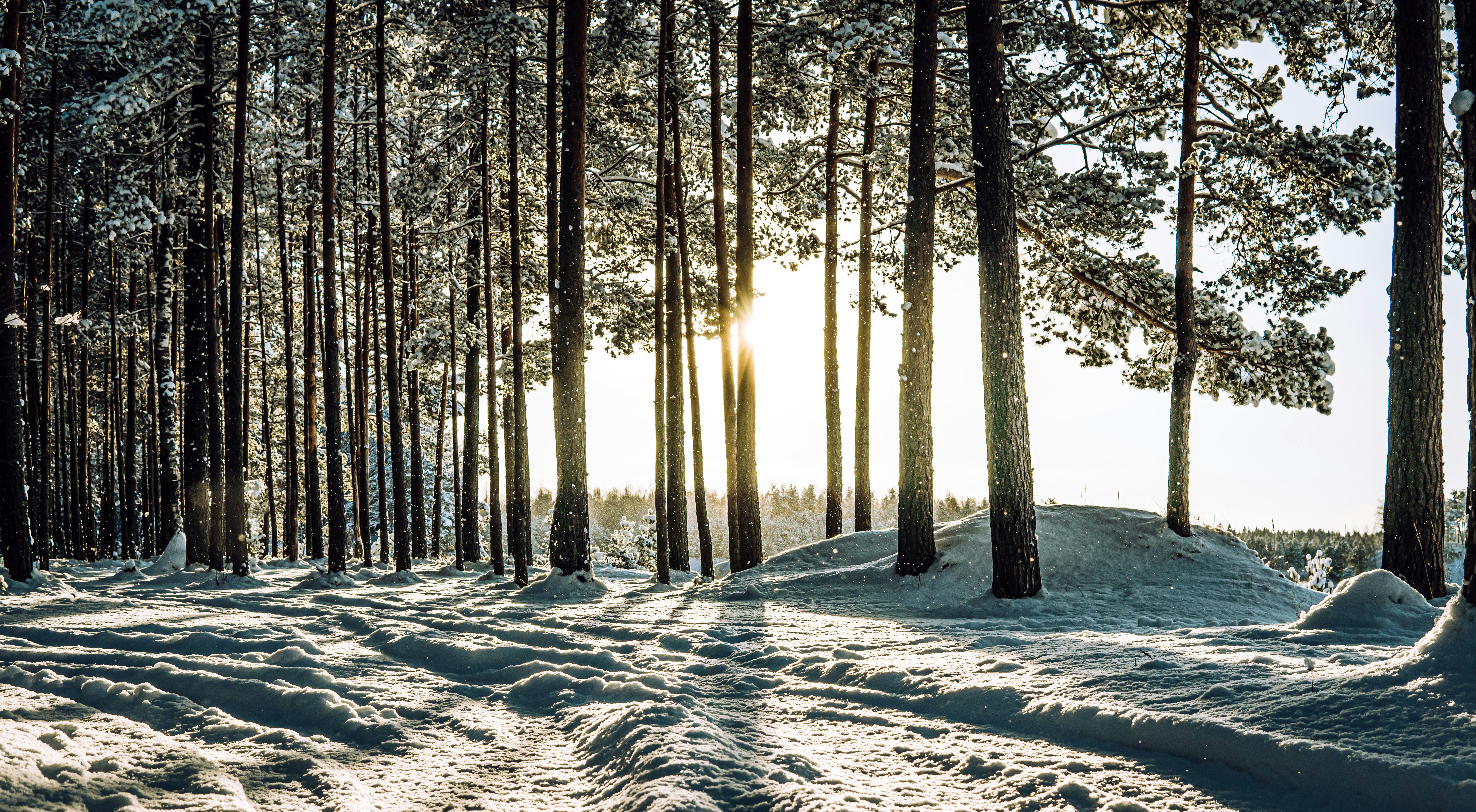 Photo by janekvaldsalu