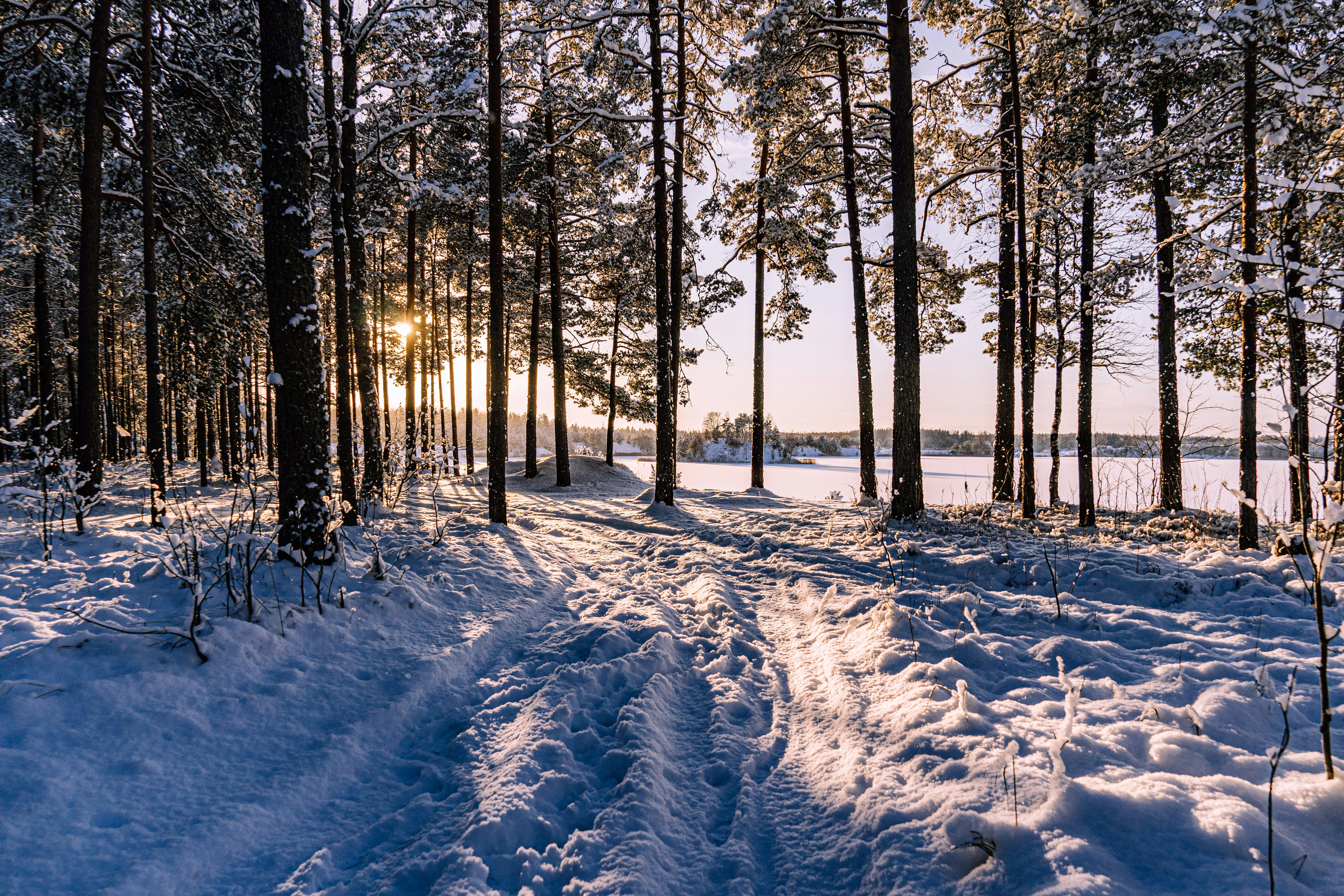 Photo by janekvaldsalu