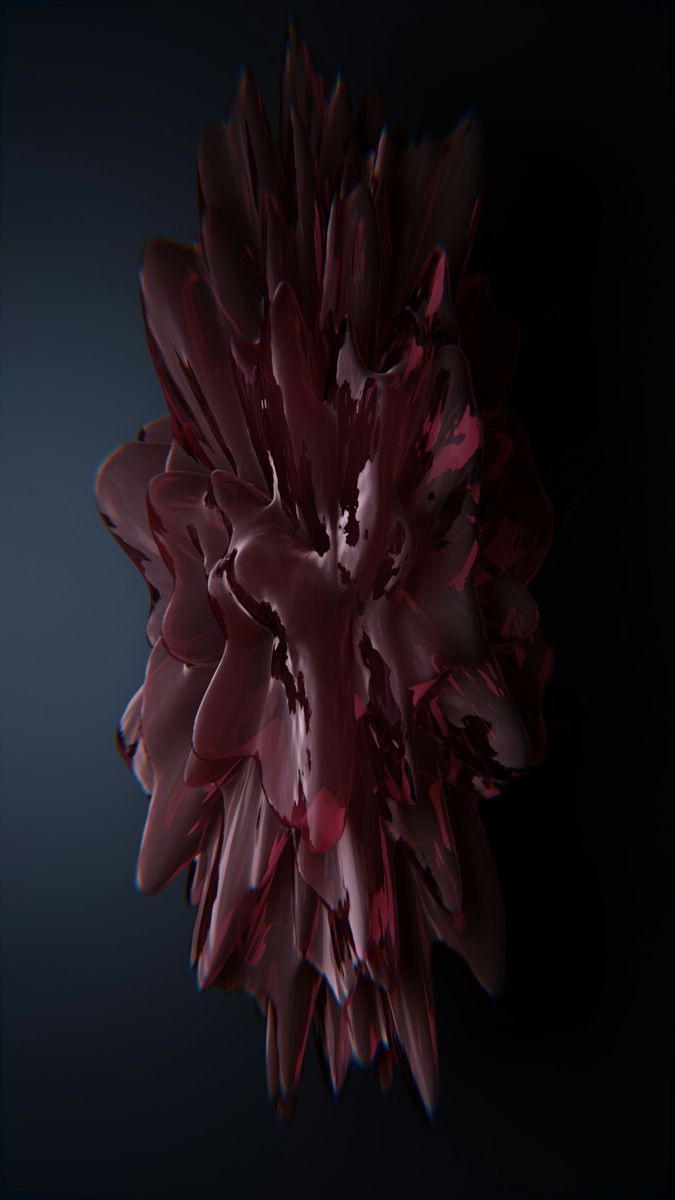 eine große rote Blume auf schwarzem Hintergrund