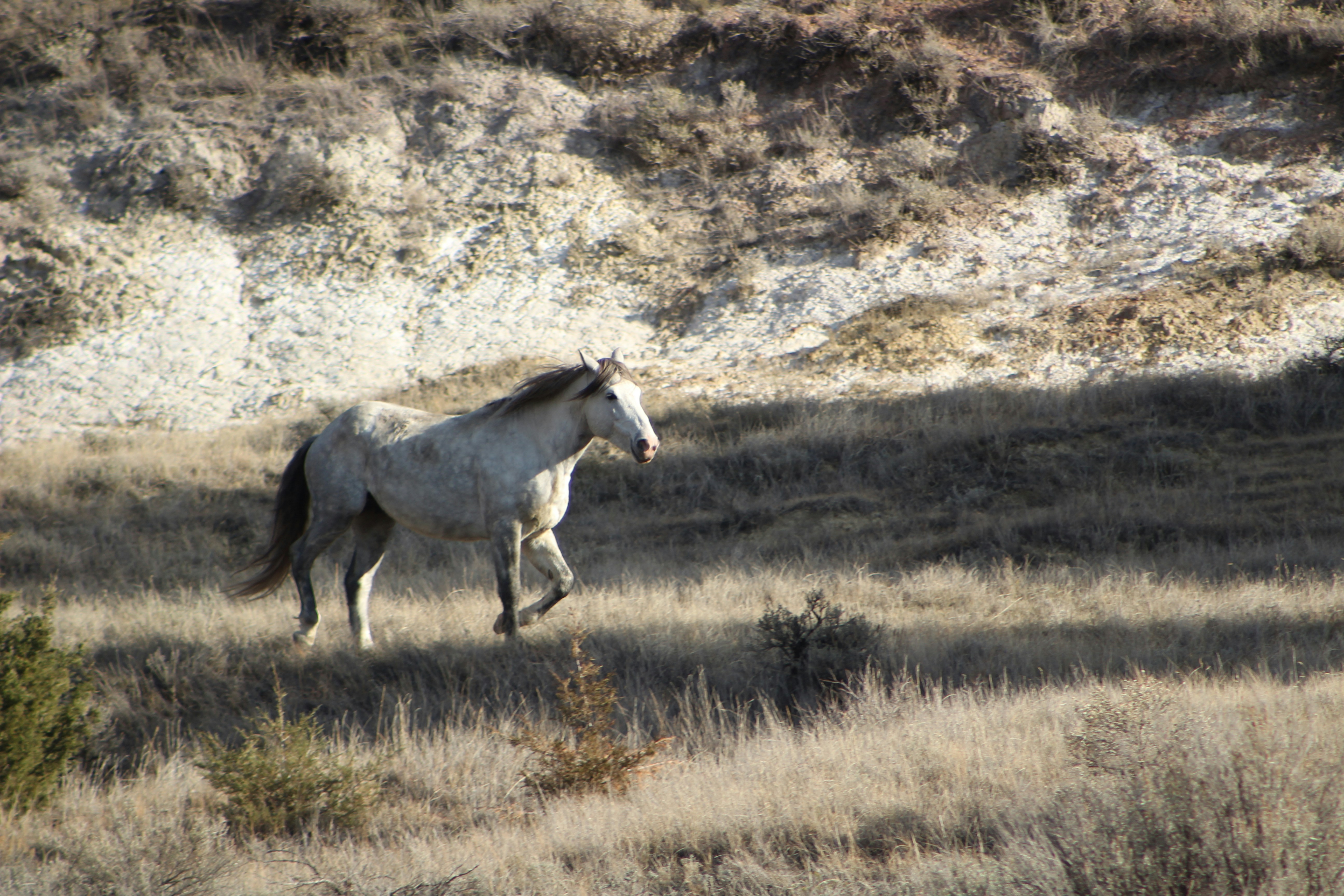 Photo by elijahaustin