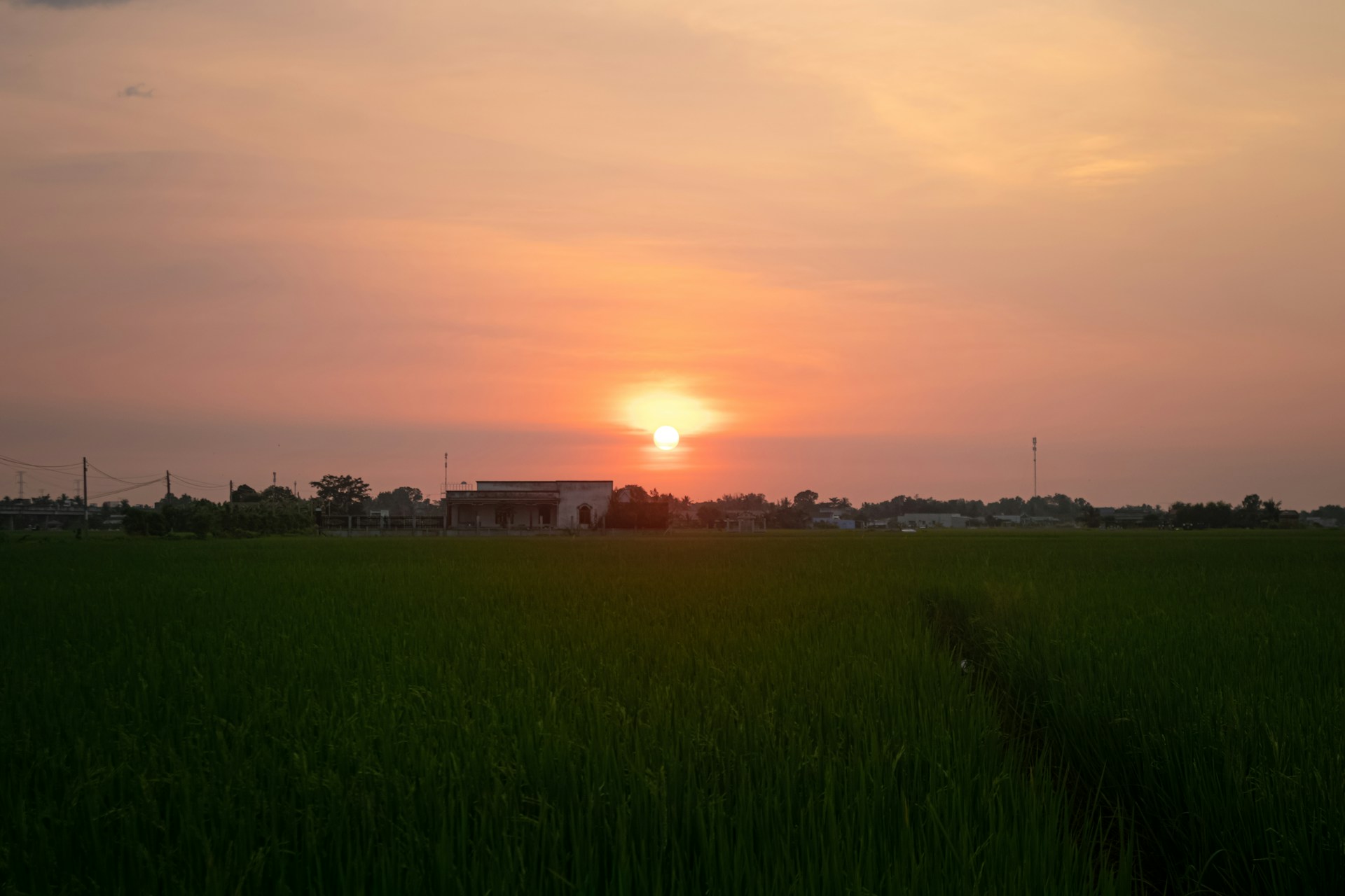 gray computer monitor