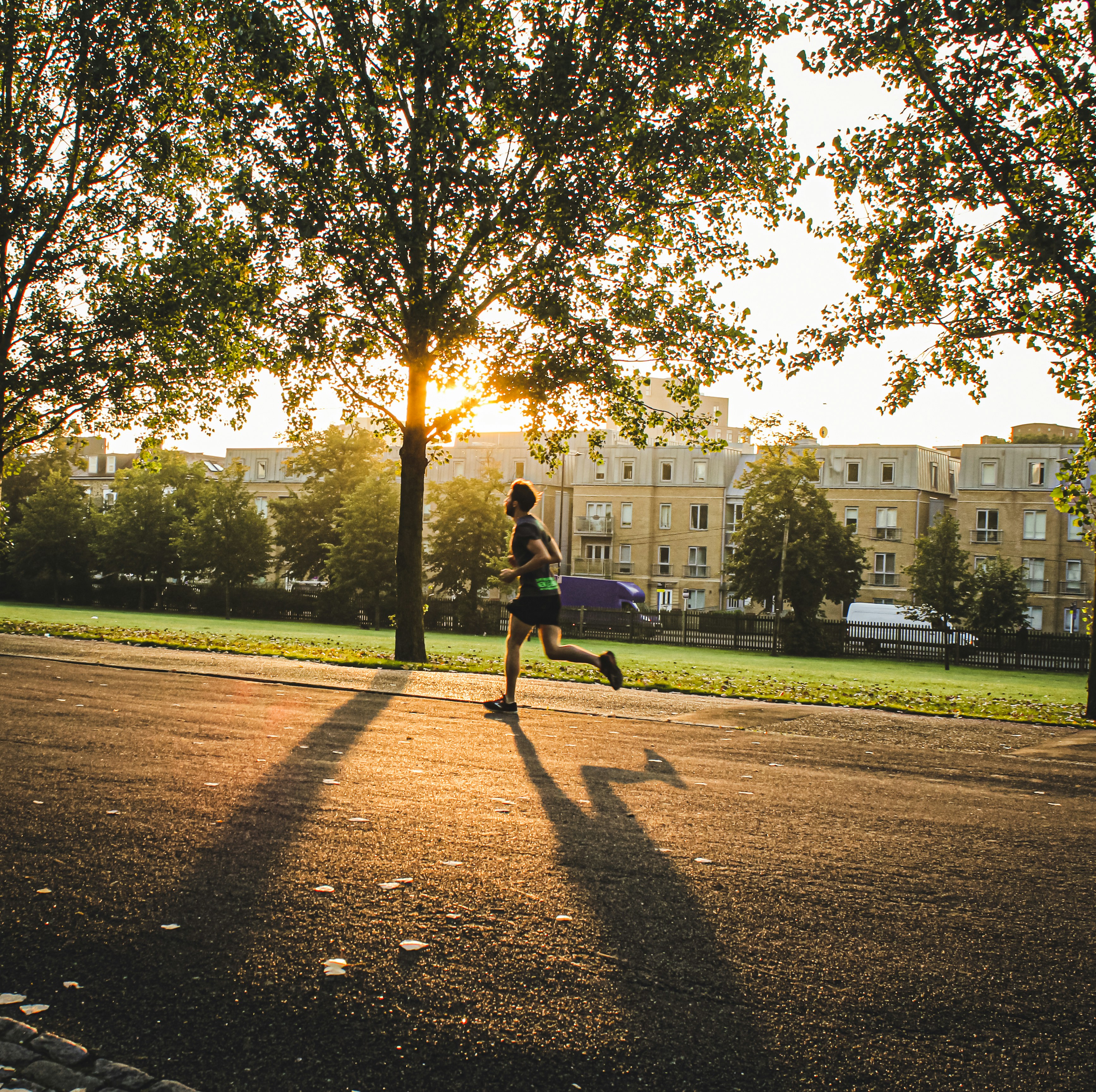 tingkat potensi diri