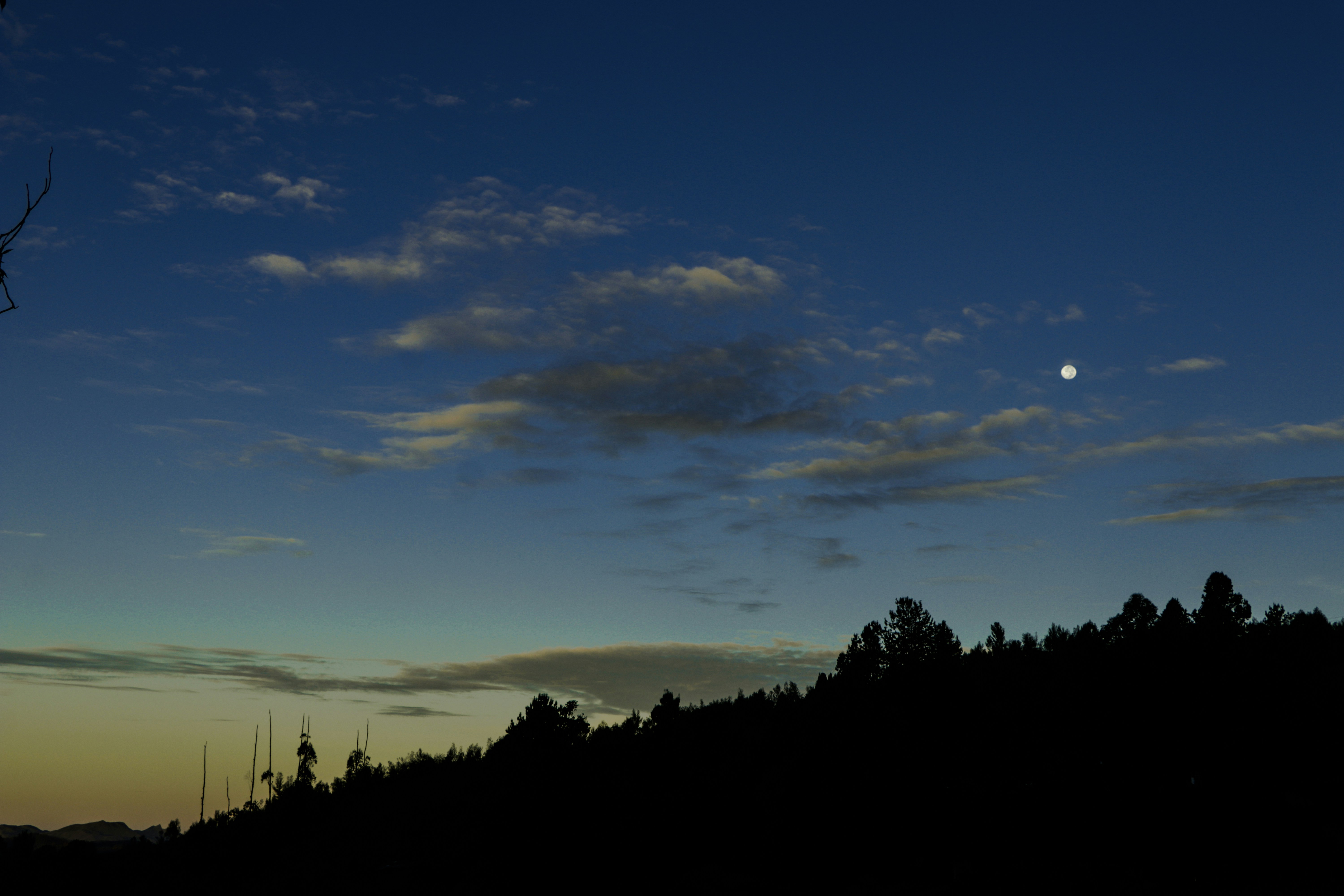 Photo by mugijo