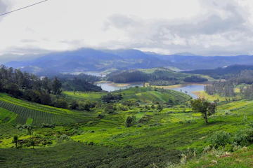 a lush green hillside with a lake in the distance