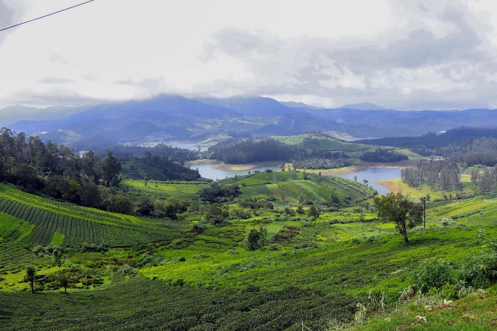 a lush green hillside with a lake in the distance