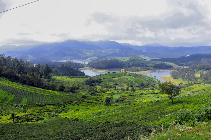 Ooty One Day Trip tour package from Tamil Nadu