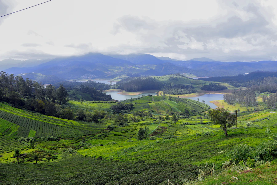 Ooty Hill Retreat