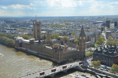 dogAdvisor | dog Advisor | dogadvisor.dog | dog Advisor