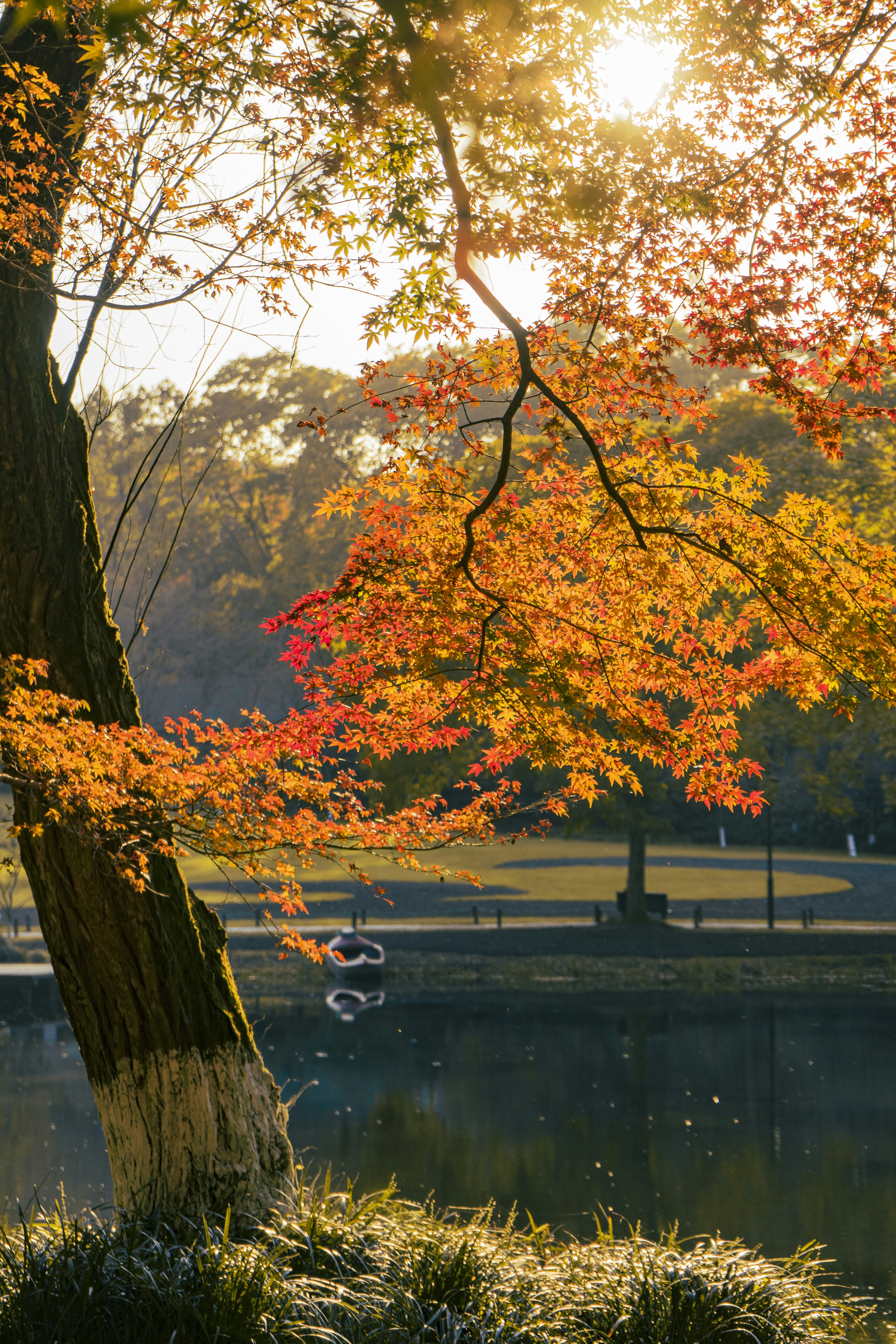 Photo by jeffreyzhang_920