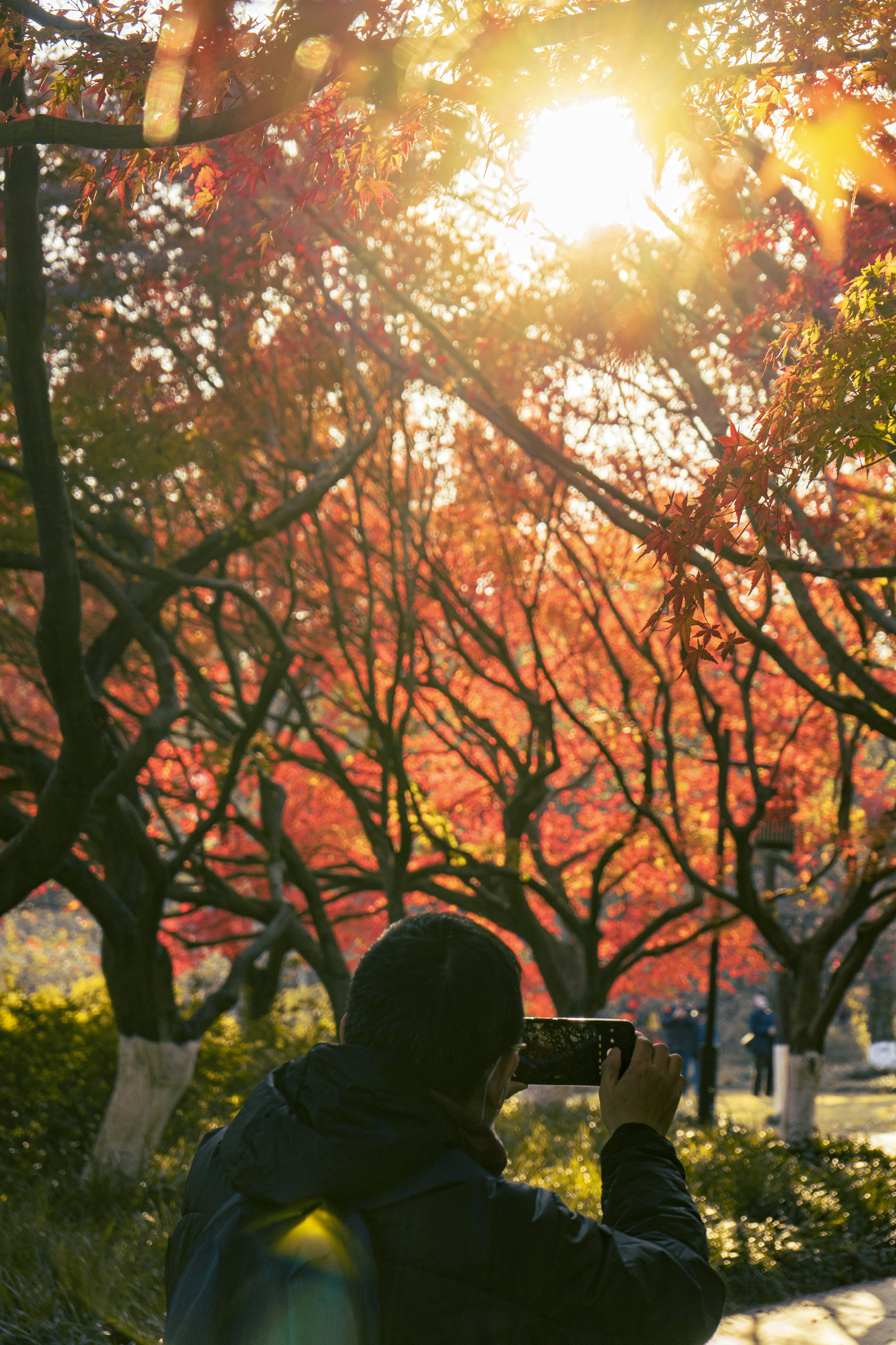 Hiking and photography: capturing nature's beauty in a stunning autumn valley