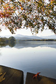 Golden autumn leaves framing a peaceful lakeside path with distant mountain views.