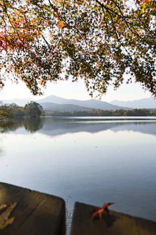 Golden autumn leaves framing a peaceful lakeside path with distant mountain views.