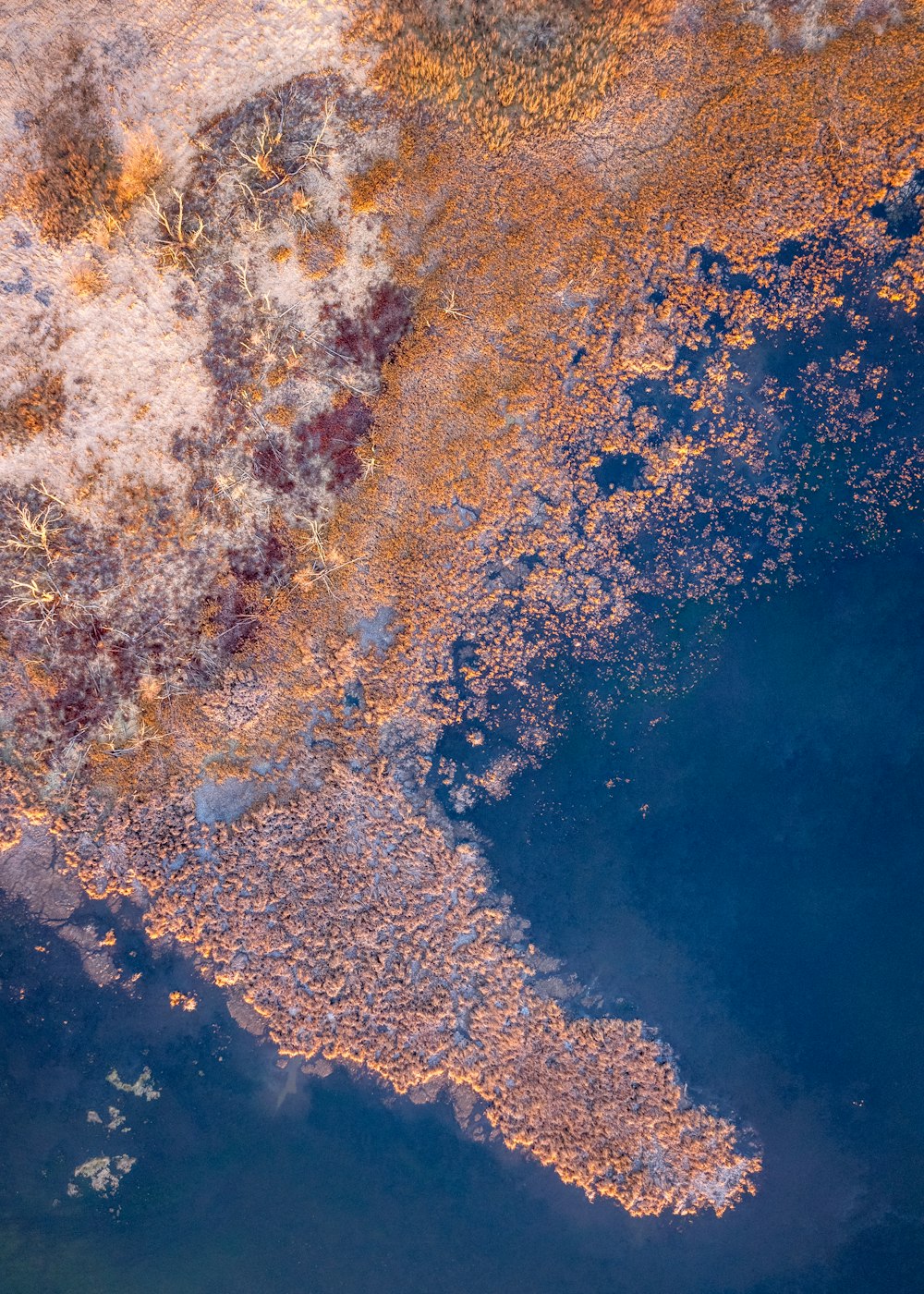 an aerial view of a body of water