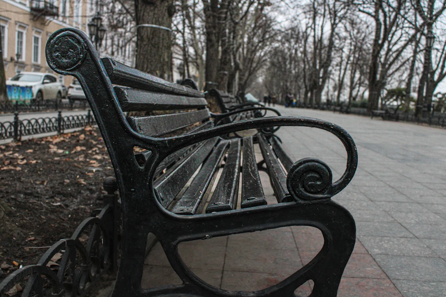 Shaded sidewalk and bench