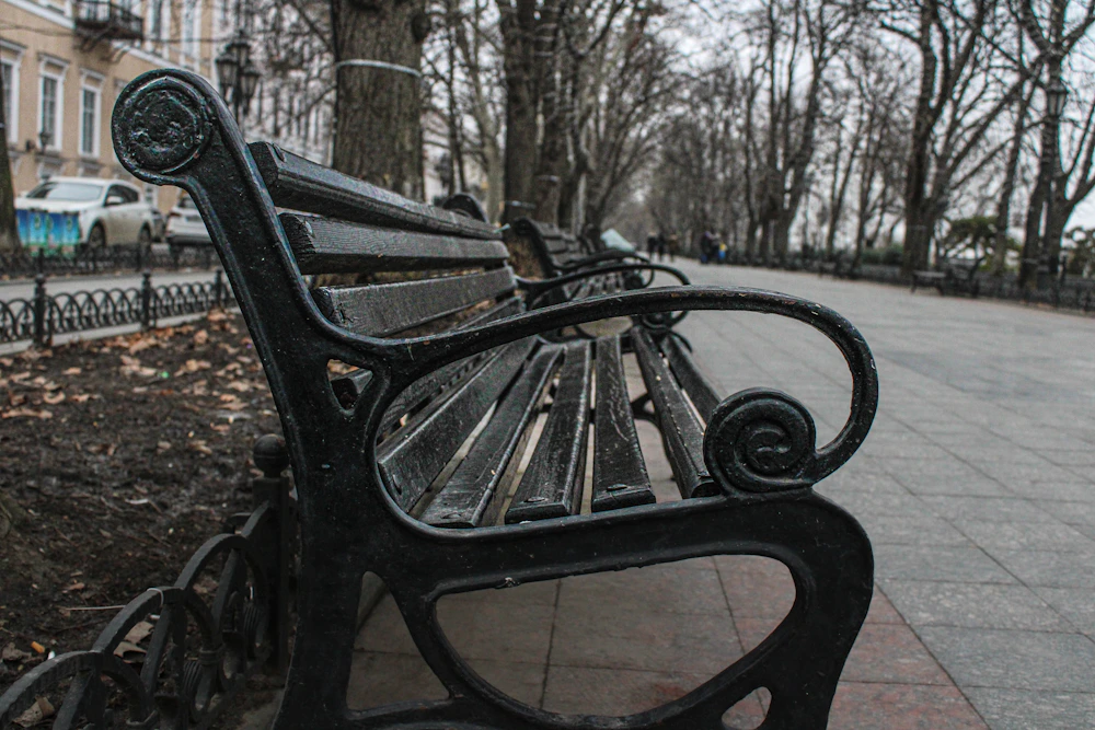 Bench beside a sidewalk and mature street tree