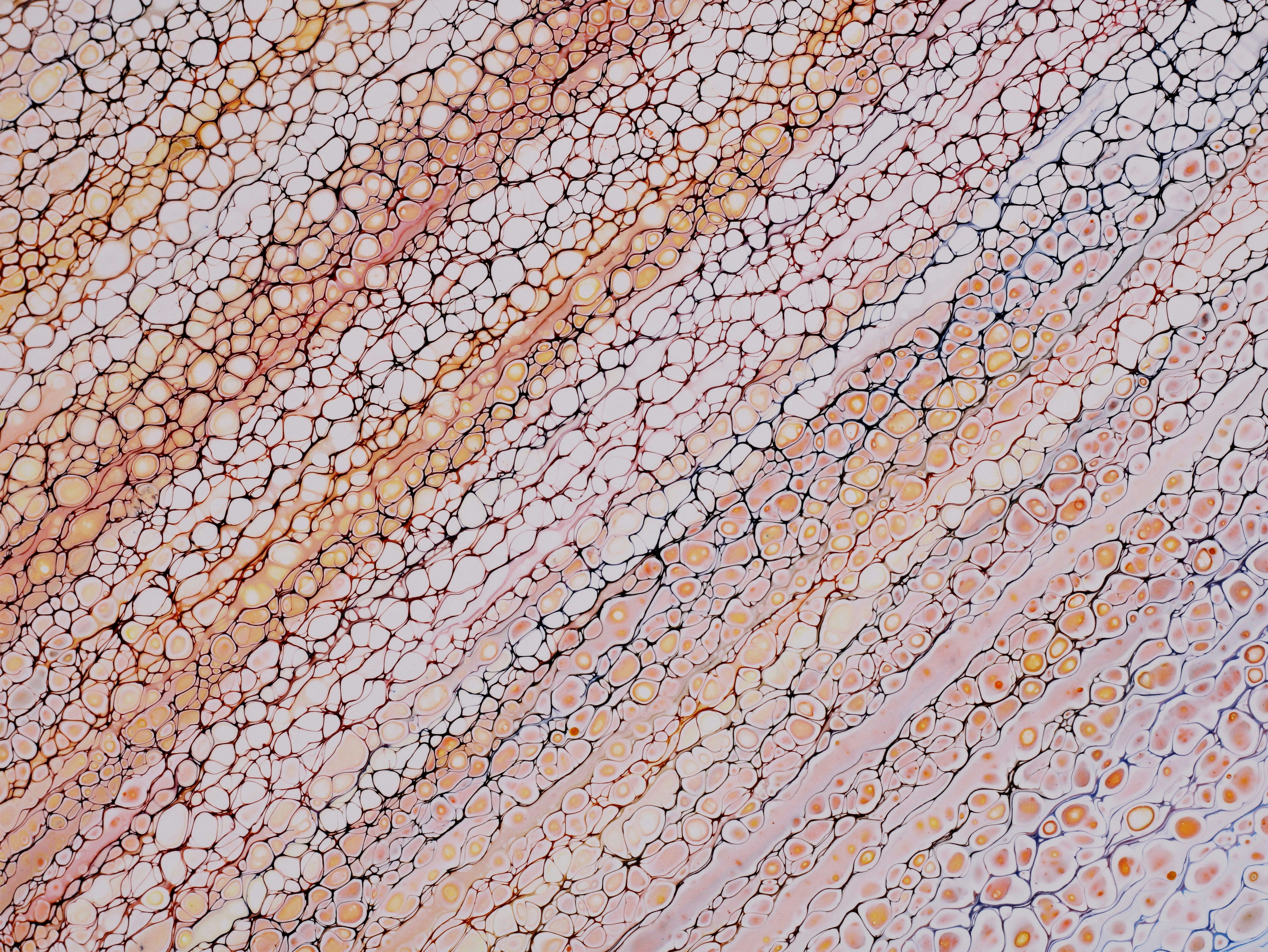 Photo by susan_wilkinson