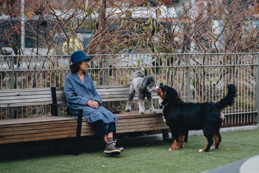 a woman sitting on a bench with two dogs