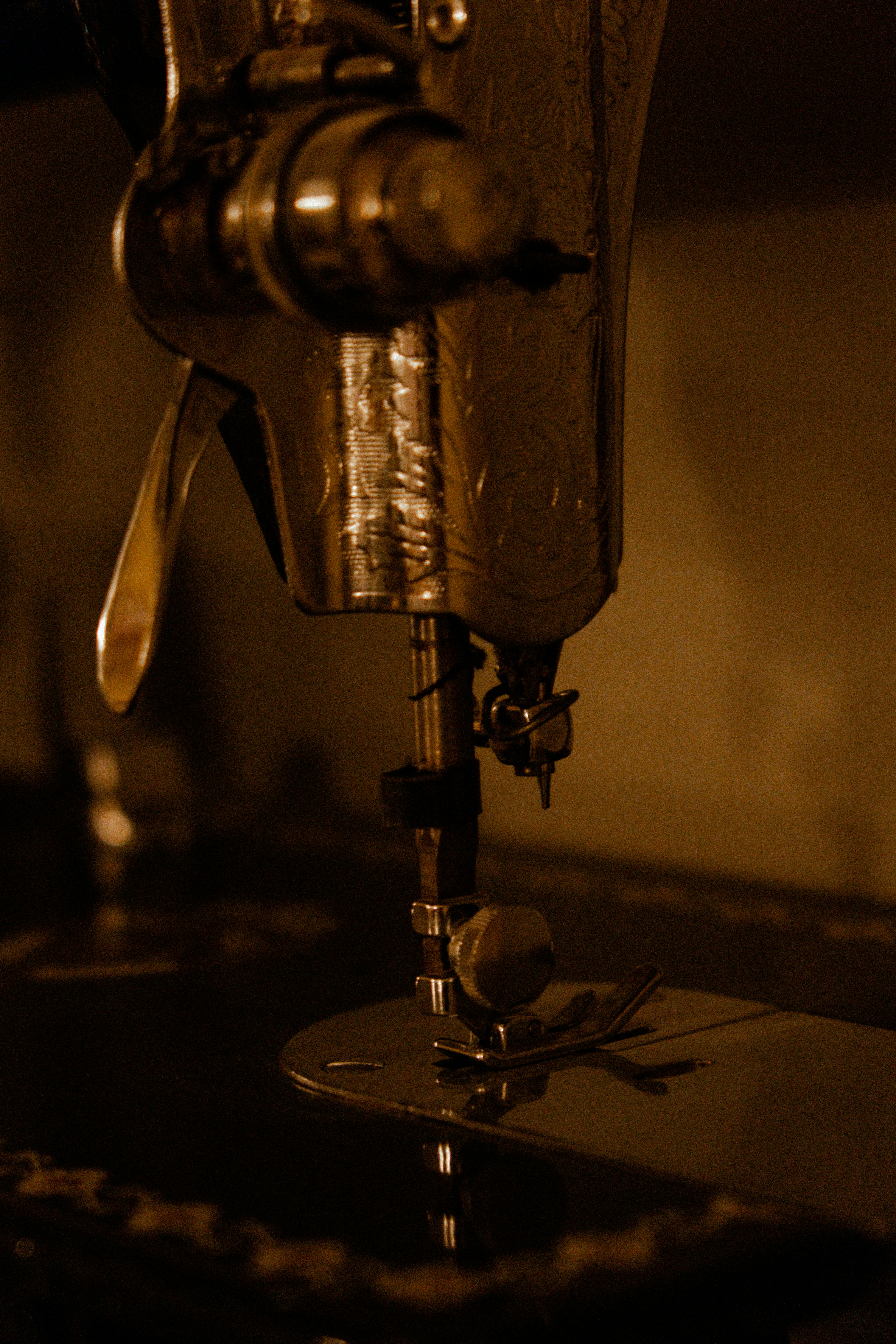 Photo by muhammedocal