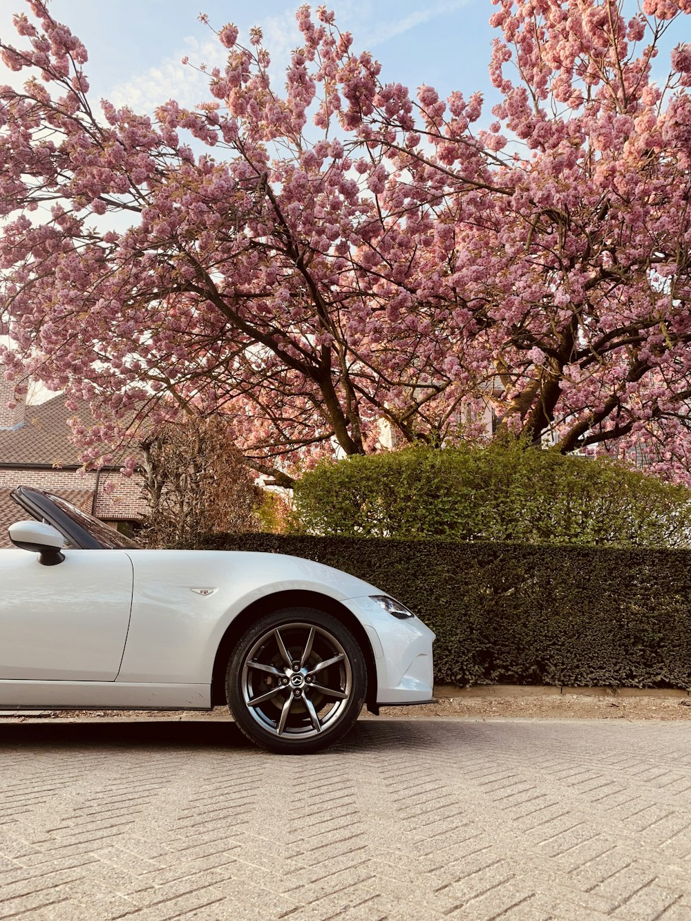 a white sports car parked in front of a flowering tree