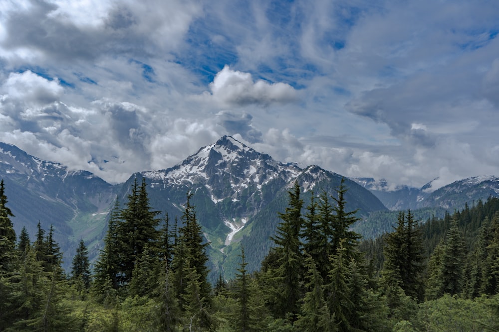 a view of a mountain range with trees in the foreground