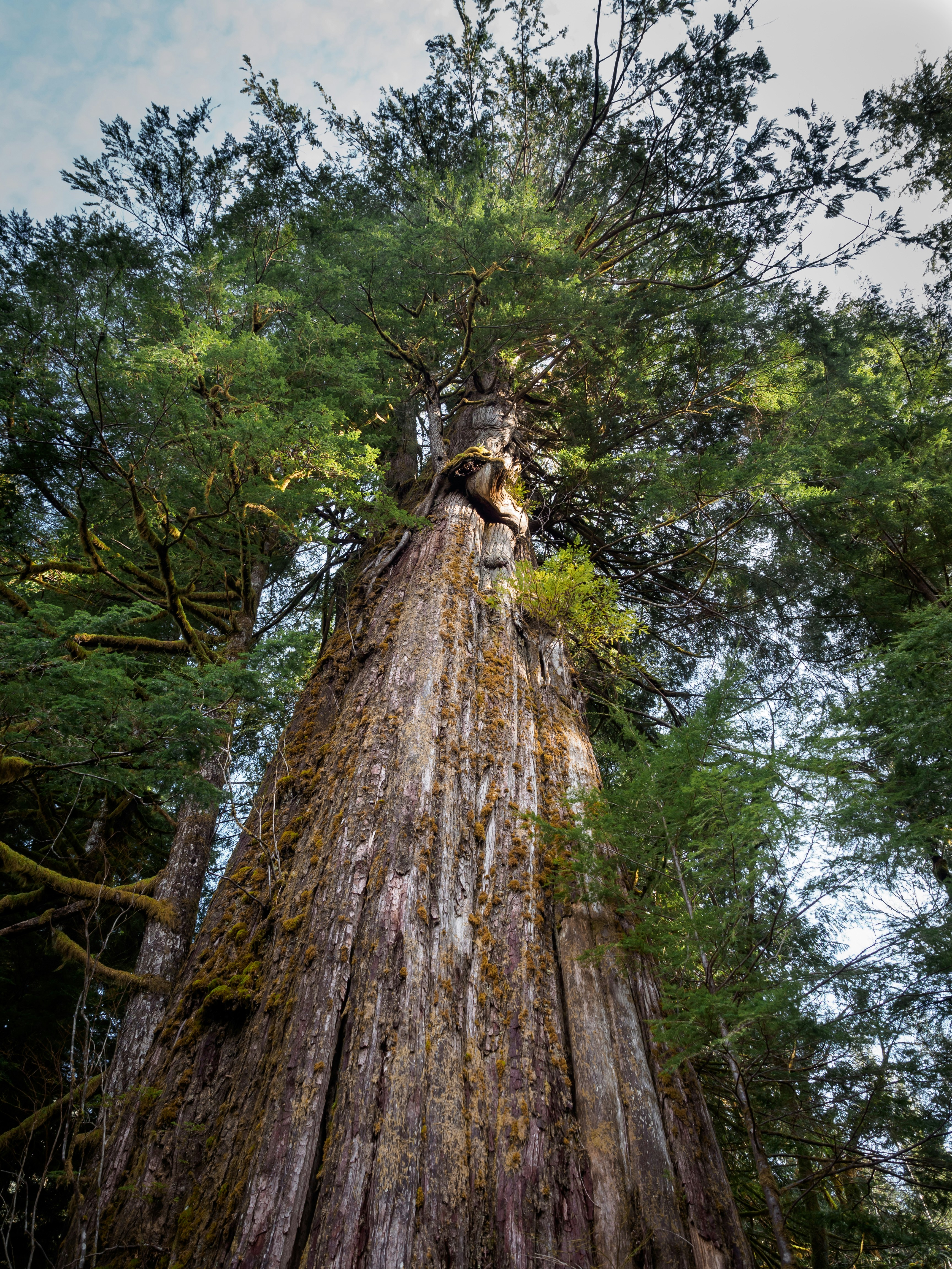 Photo by folkandwild