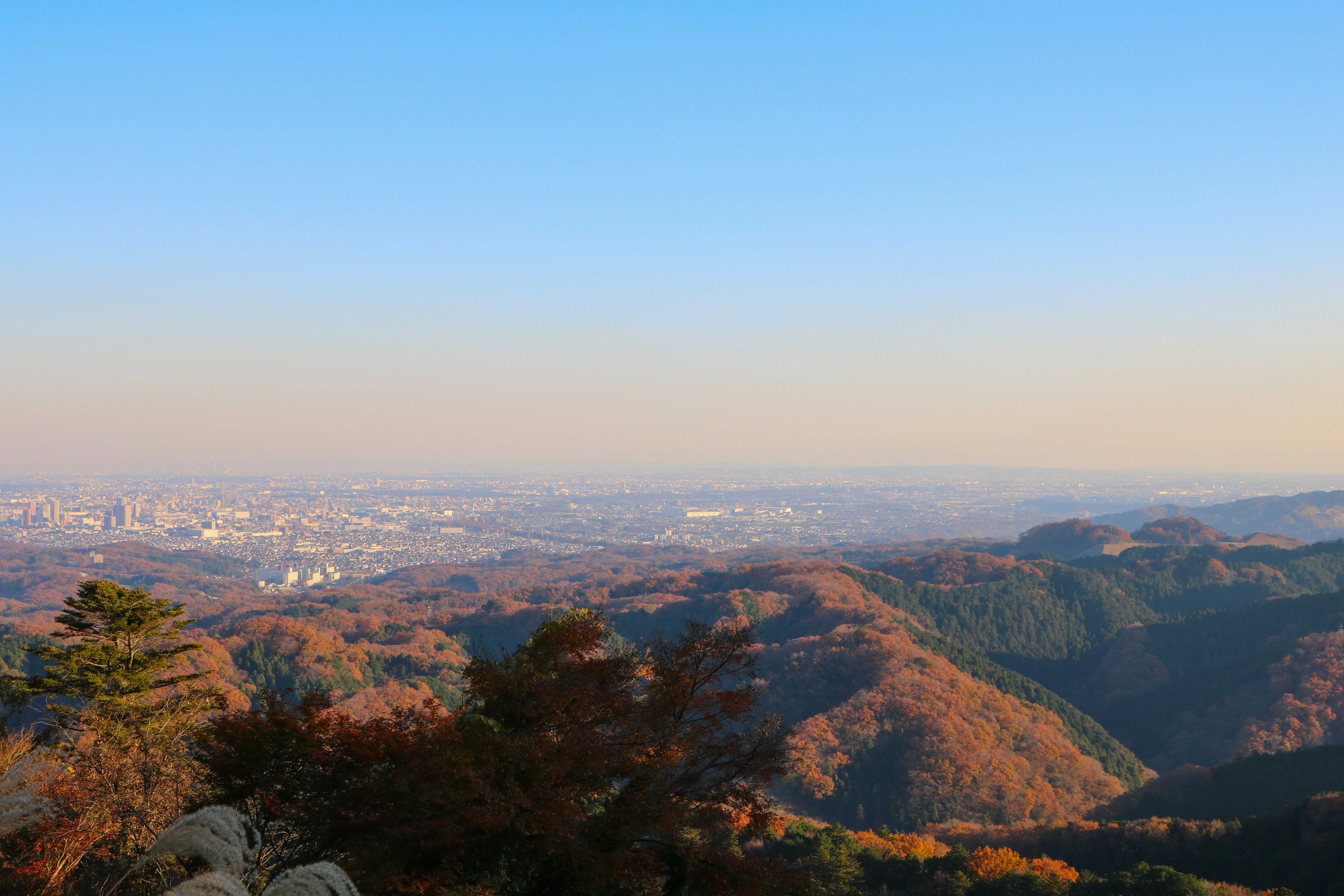 Photo by utakaha