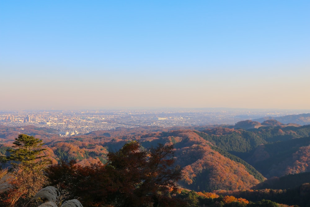 a scenic view of a city in the distance