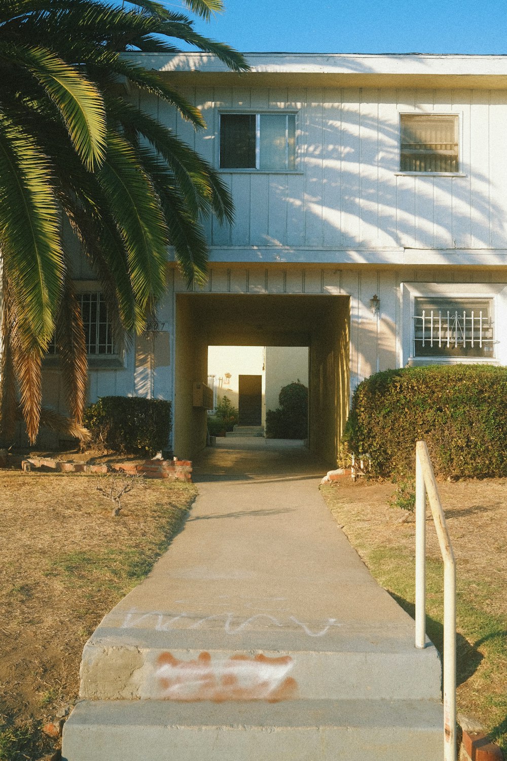 a white house with a palm tree in front of it