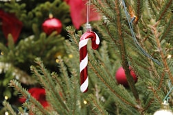 a candy cane ornament hanging from a christmas tree