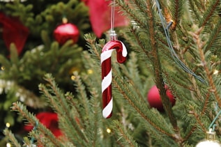 a candy cane ornament hanging from a christmas tree
