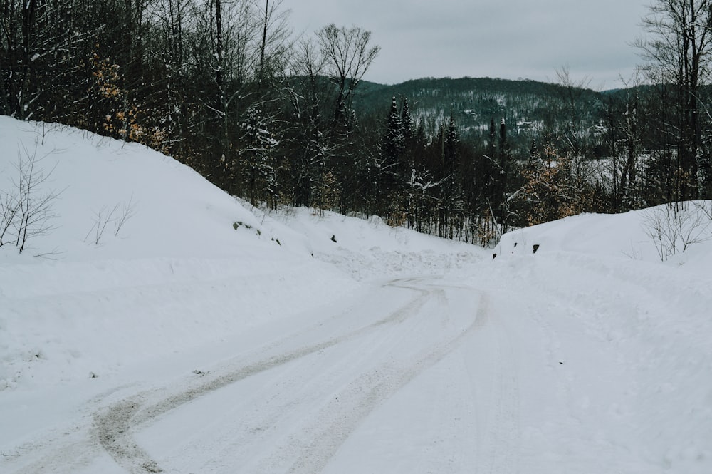 a snow covered road in the middle of a forest