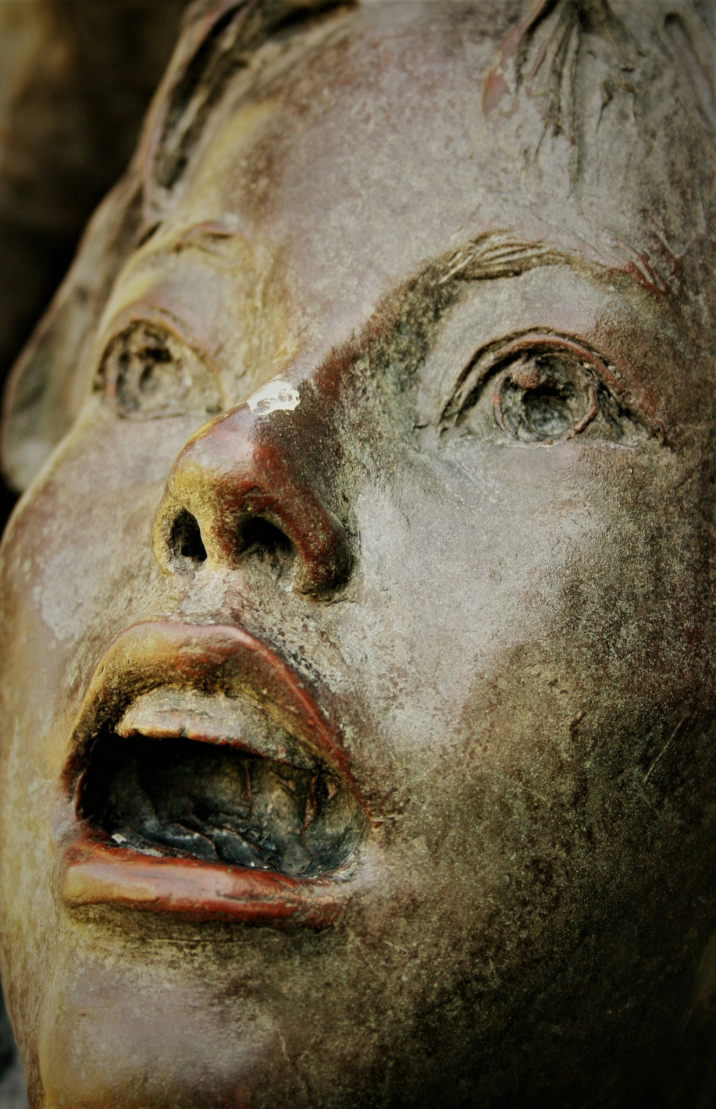 Photo by blenderdesigner