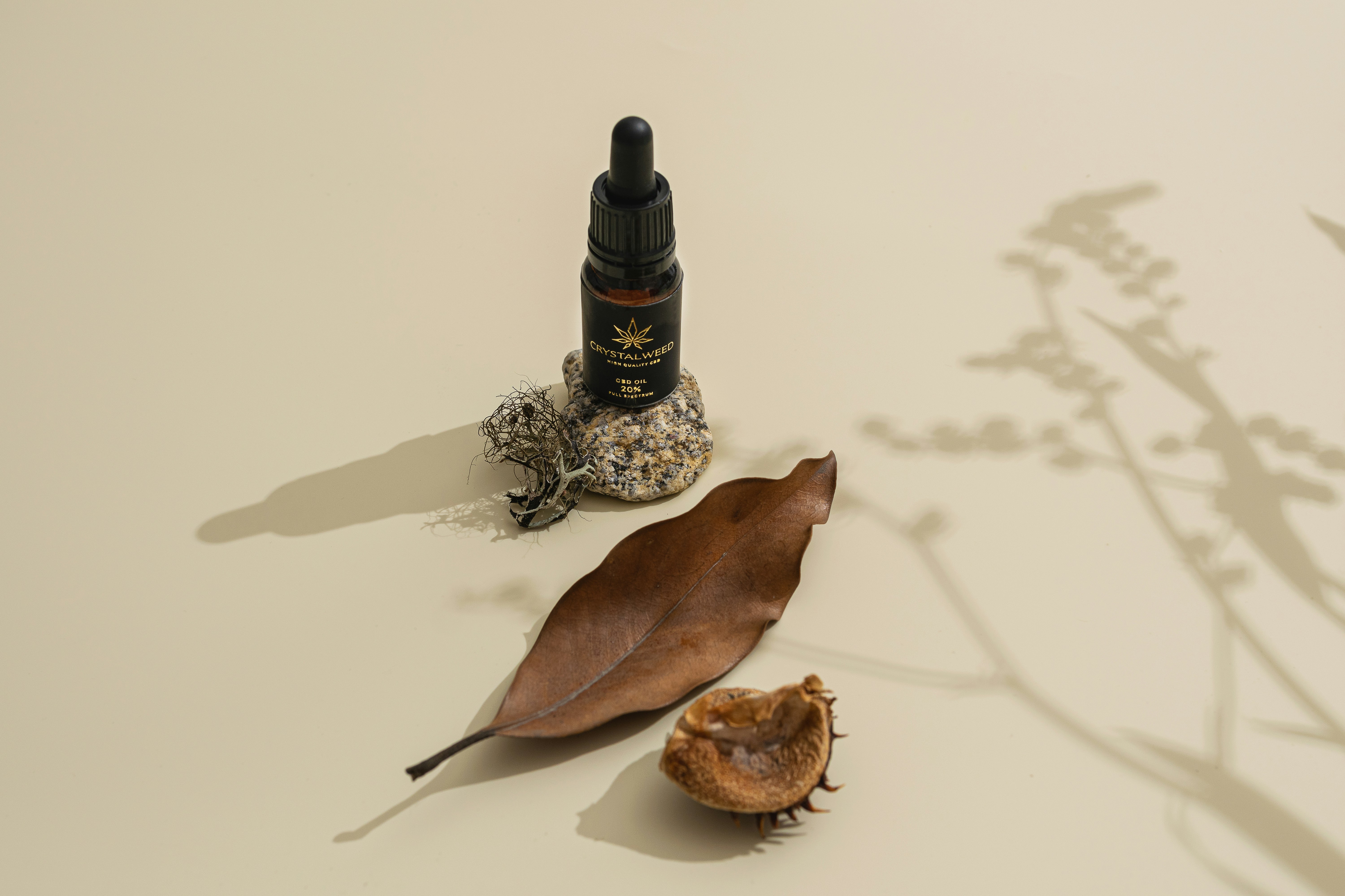 Photo by crystalweed