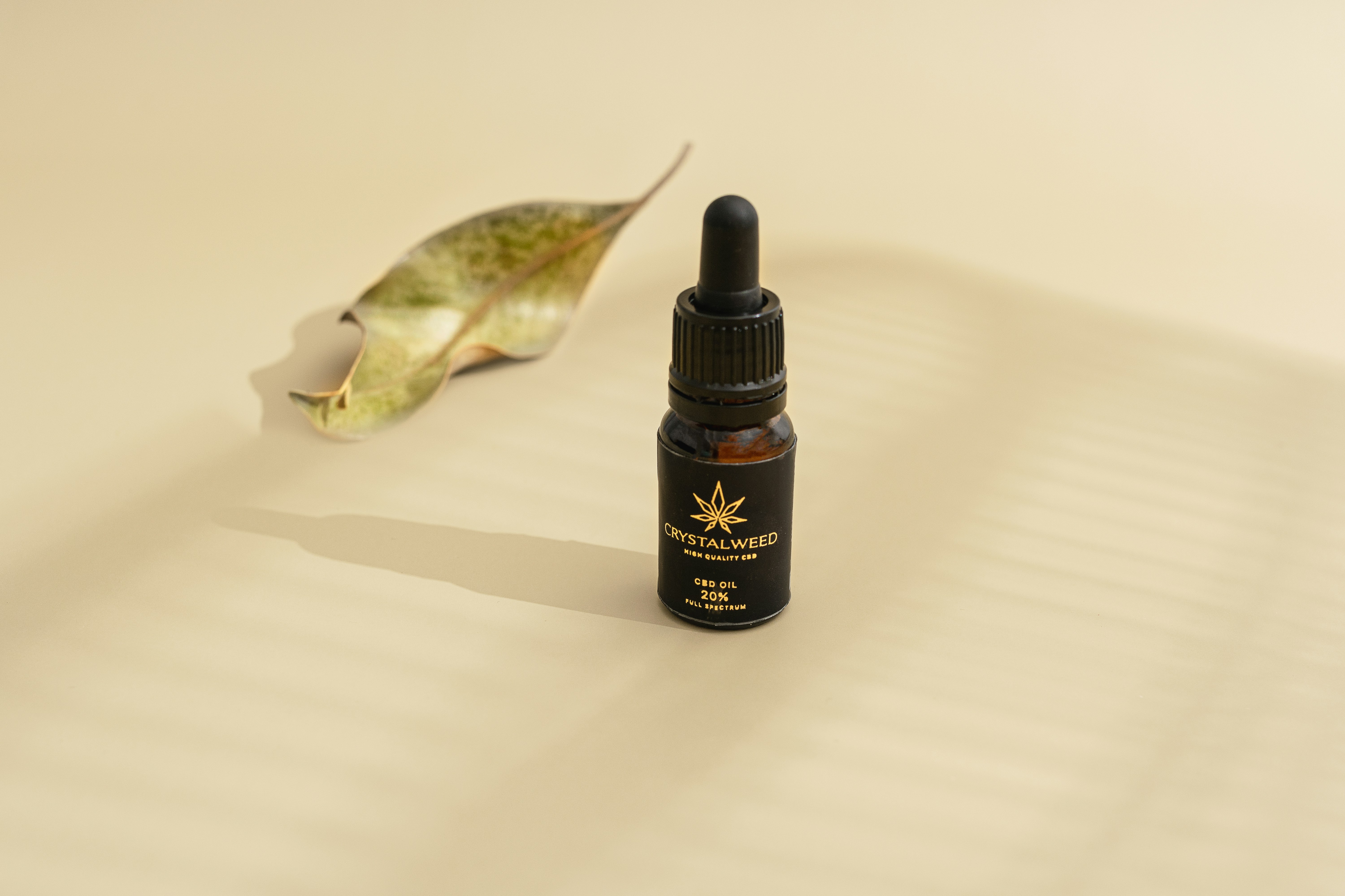 Photo by crystalweed