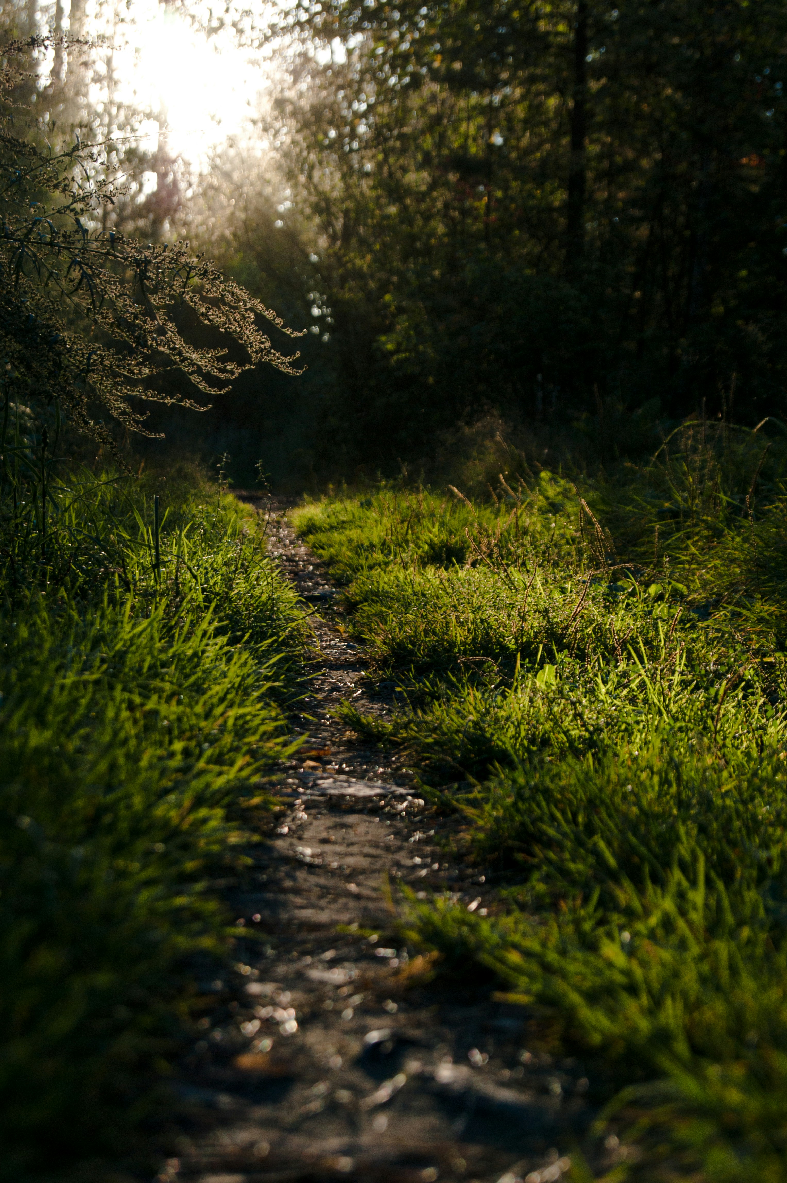 Photo by ssshnurokkk