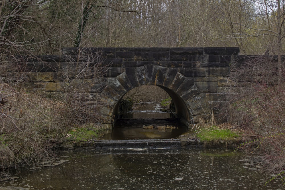 a stone bridge over a small stream in a wooded area
