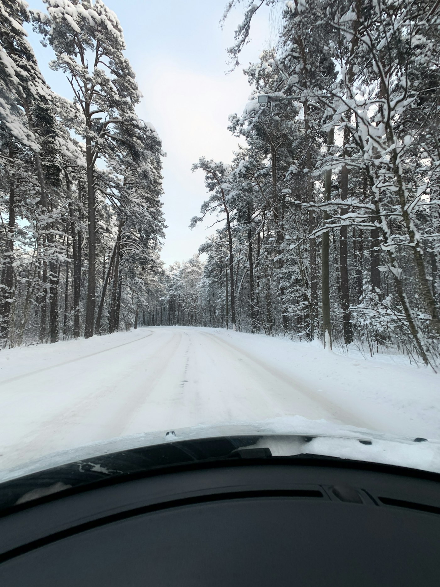 Nordlicht-Mietwagen Estland