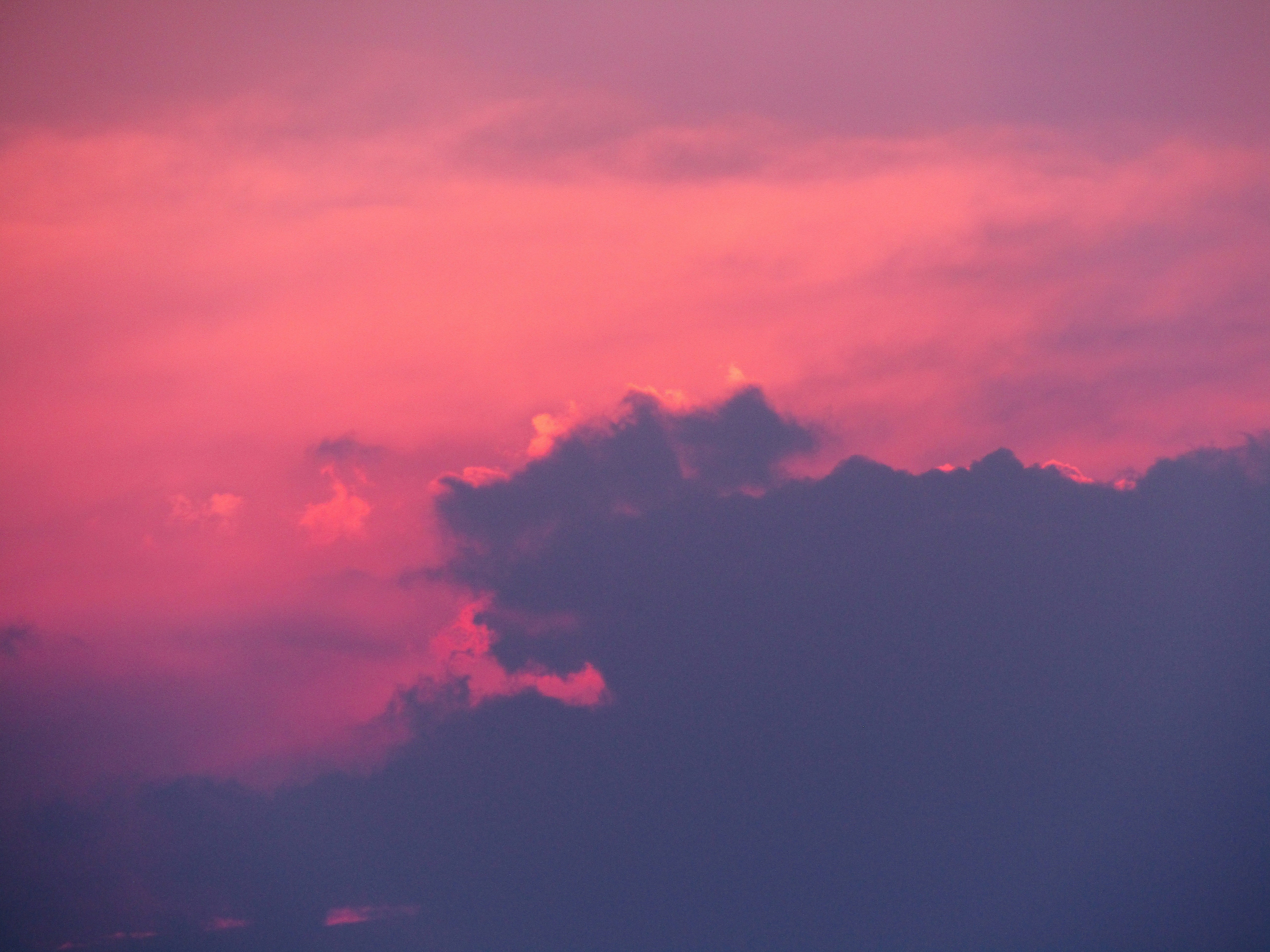 Photo by aleksandramiletic