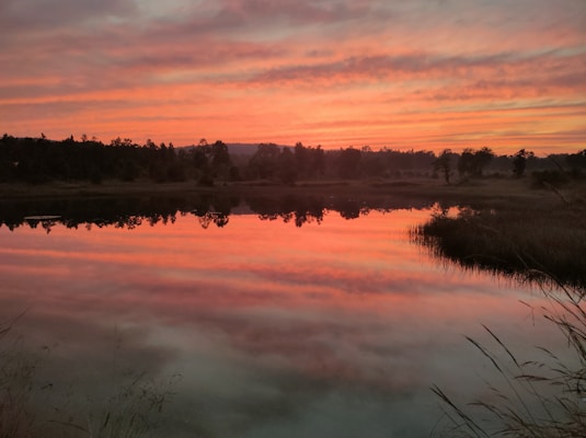 Photo 1638899733500 E6595fc57f86?q=85&w=800&h=400&fit=crop
