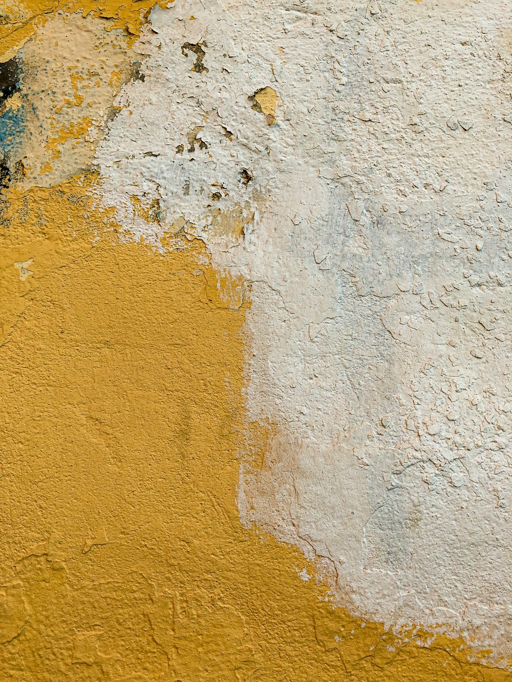 a yellow and white wall with a black and white bird on it