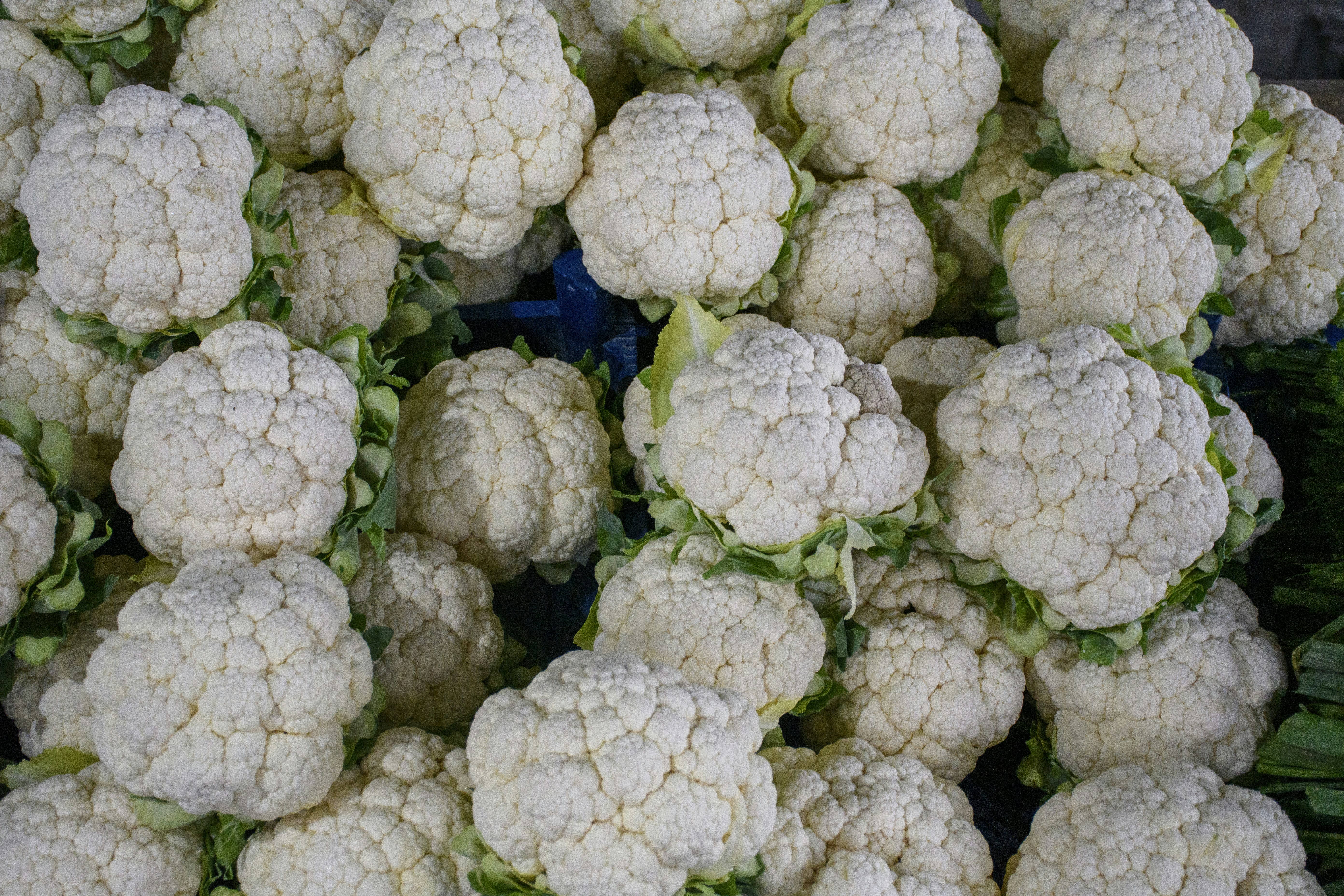 Cauliflower
