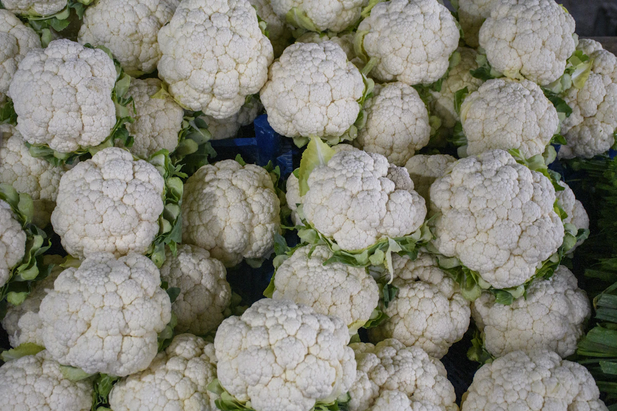 Cauliflower Phool Gobhi Growing India — Complete Encyclopedia Winter Vegetable