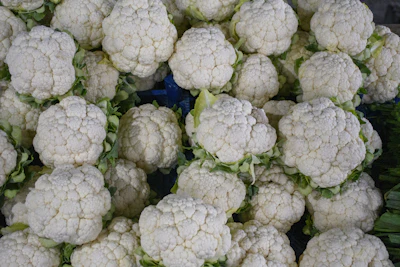 Cauliflower Phool Gobhi Growing India — Complete Encyclopedia Winter Vegetable