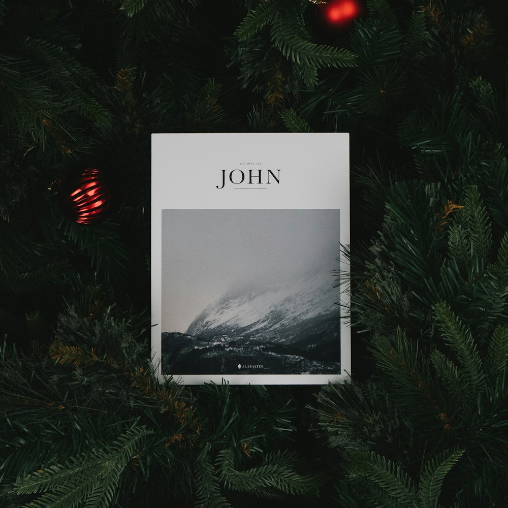 a book sitting on top of a christmas tree