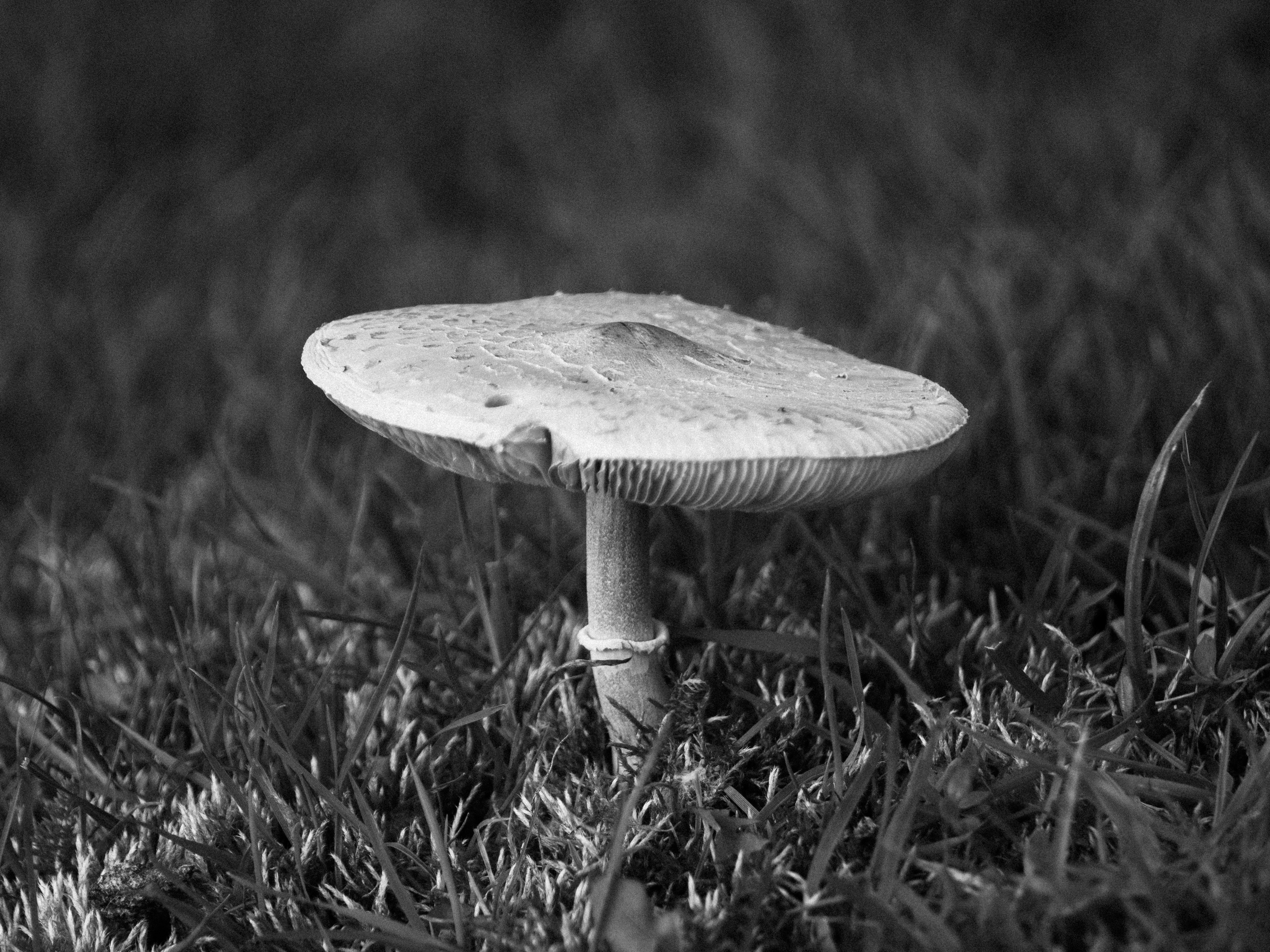 Photo by thomasfryatt