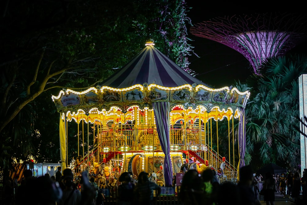 a merry go round in a park at night